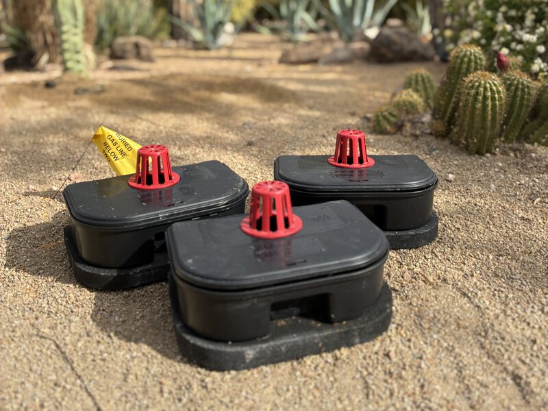 Three mosquito larvicide stations set on gravel in a Phoenix Valley desert garden.